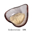 Ecdysterone 50% pó de beta ecdysterone em pó